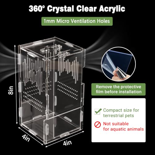 20PCS Acrylic Jumping Spider Enclosure Kit (Green-Scandi style)