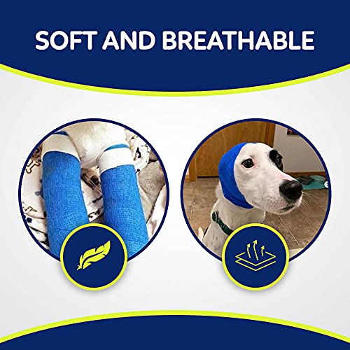 Pet Wrap Self (2 Inch (Pack of 12) / Solid Color A)