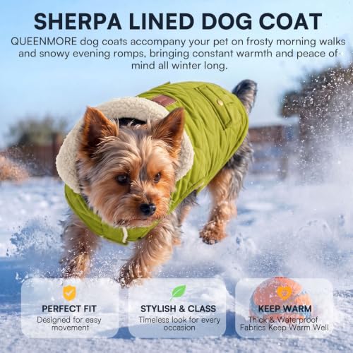 Waterproof Puffer Dog Coat Medium Warm Plush Lining Winter Jacket (Medium / Olive Green)