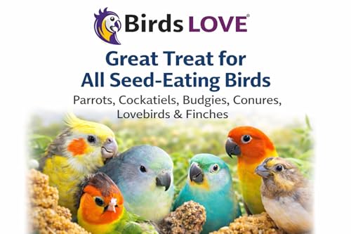 5 LB Wholesome Spray Millet for Birds (5 Pound (Pack of 1))