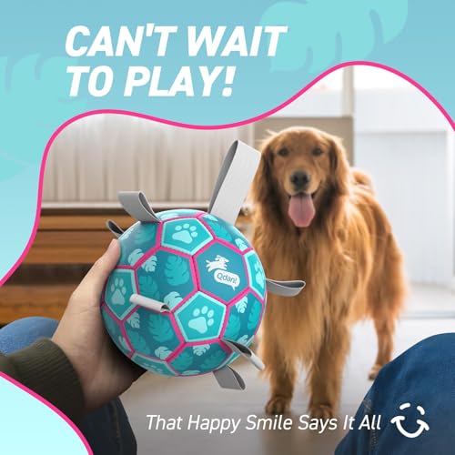 Dog Toys Soccer Ball with Straps (Lake Blue / Medium Size 2 (6 Inch))