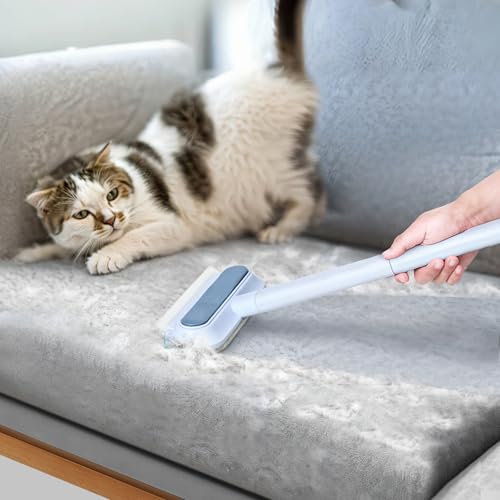 Multifunctional Pet Hair Remover (Blue)