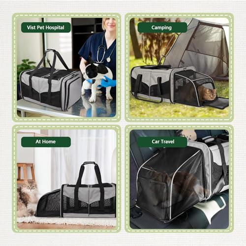 Cat Carrier for 2 Cats (Gray)