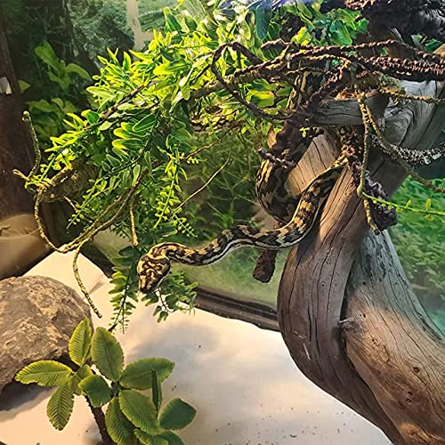 Reptile Wooden Bridge