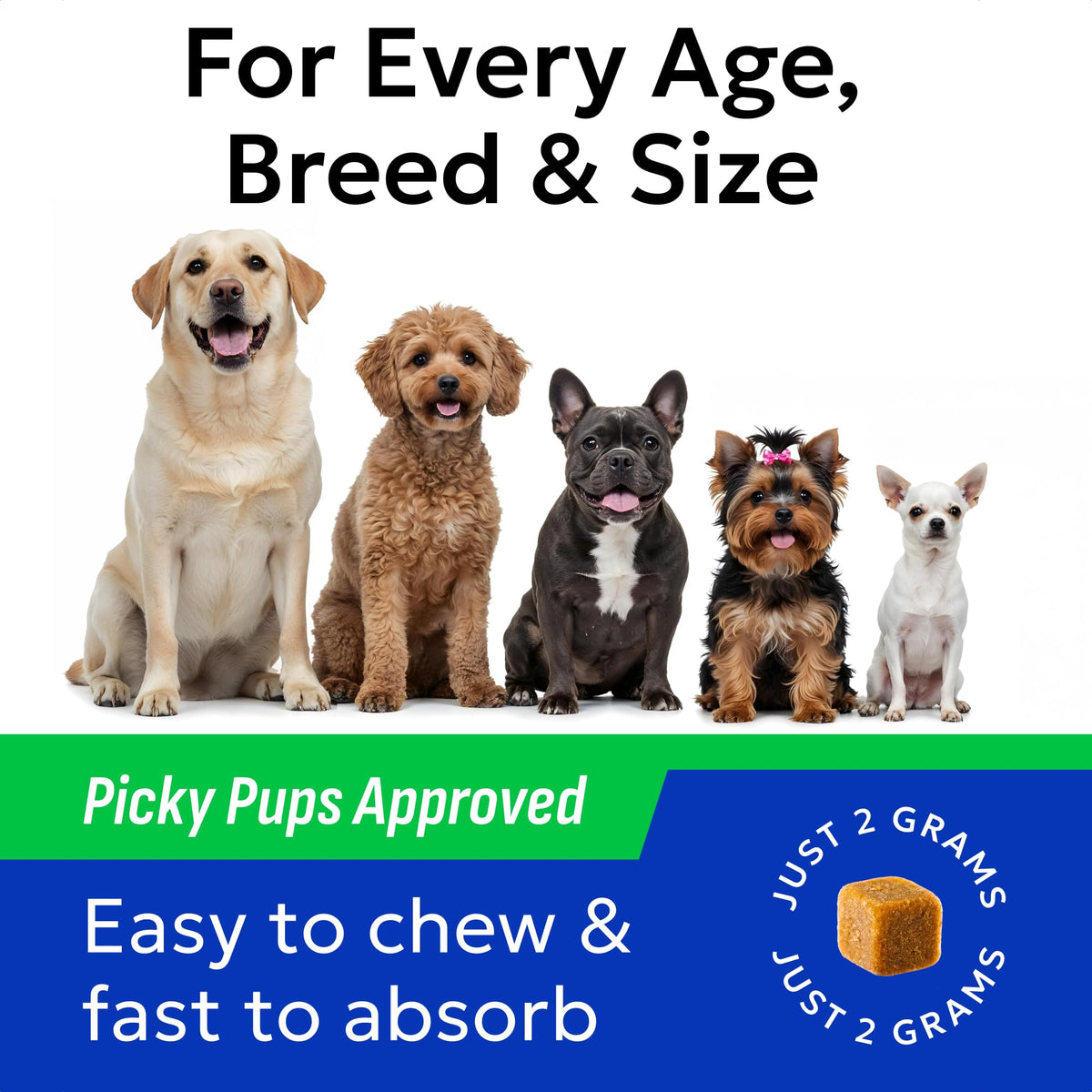 Probiotics for Dogs (Probiotic Chews / 240Ct Value Pack Bacon)