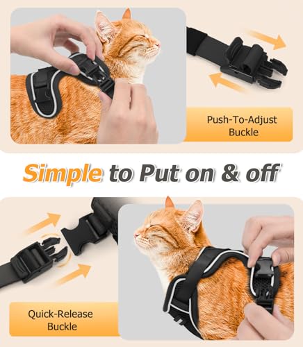 Cat Harness and Leash Set (H600 Pro Black / X-Small (4-6lb))