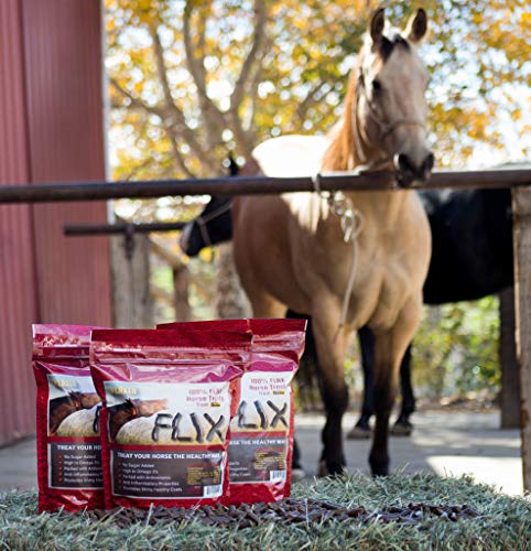 Flix 9 lb 100% Flaxseed Healthy Treats for Horses (9 Pound (Pack of 1))
