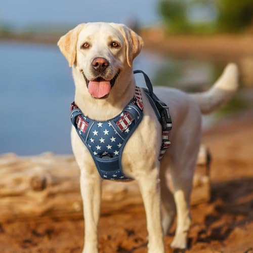 Dog Harness No Pull Medium Sized with 2 Leash Clips (Medium / Blue Star)