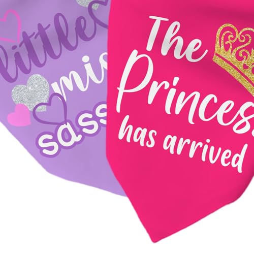 Puppy Bandana 2 Pcs (Sassy)