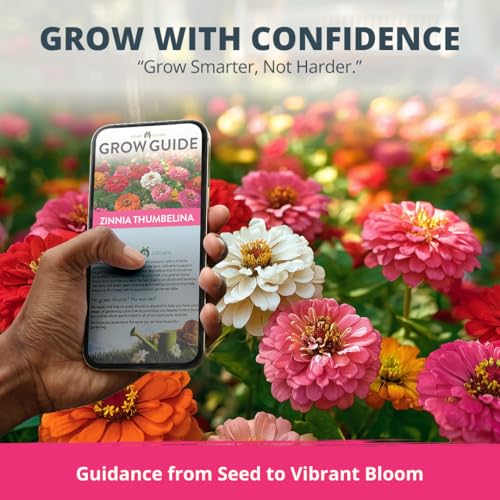 Zinnia Seeds Thumbelina
