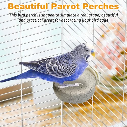 8 PCS Bird Perch Parrot Beak Grinding Stone Calcium Mineral Parrot Perch Foot Claws Trimmer Chewing Toy Bird Cage Accessories for Small Medium Budgie Cockatiel Conure Lovebird