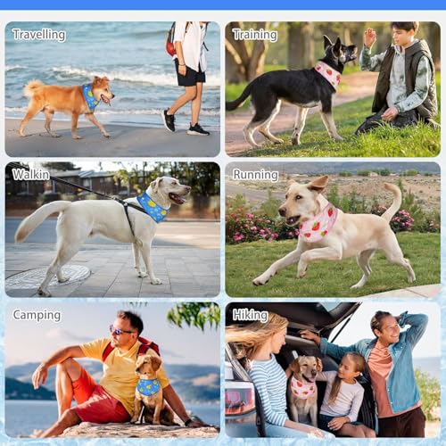 Dog Cooling Bandana (Strawberries+Duck / Neck Girth(12-20in))
