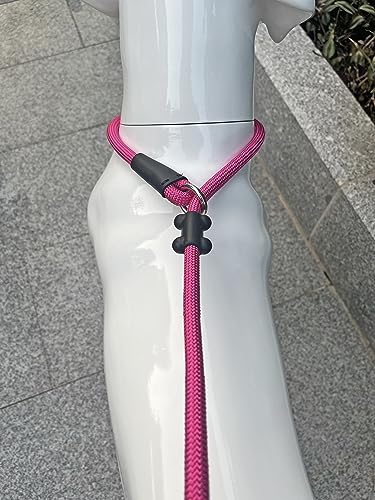 Slip Lead Dog Leash (1/2"×6ft / Fuchsia)