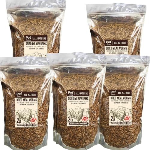 Dried Mealworms for Chickens (2 Pound (Pack of 5))