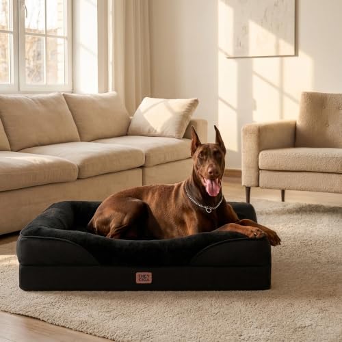 Orthopedic XXL Dog Bed for Large Dog (Black / 52x41x8)