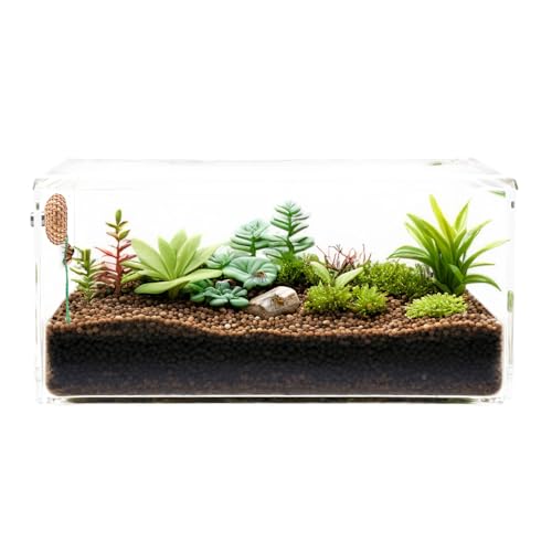 1 Pcs Jumping Spider Accessories