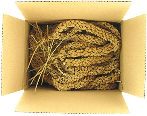 Golden Farms® Premium Millet Spray for Birds