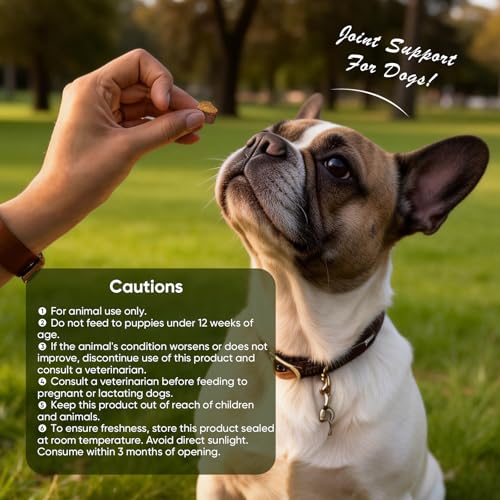 Joint Supplement for Dogs 200 ct (2 g/capsule 200pcs)