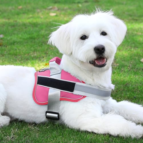 Dog Harness No (X-Small (Pack of 1) / Fuchsia)