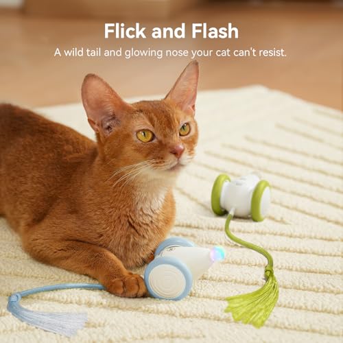 Interactive Cat Toys for Indoor Cats (Mouse Neo-Blue)