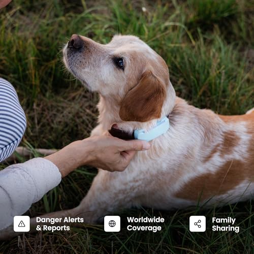 Smart Dog GPS Tracker with 6 Month Subscription (Brown / With Subscription)