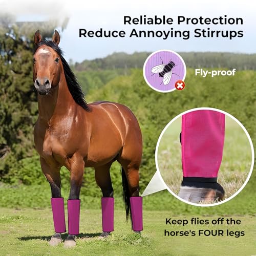 Mesh Horse Fly Boots Set of 4 (Pink)