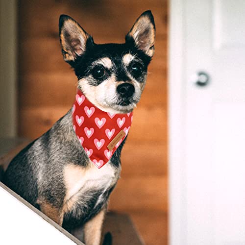 Valentine's Day Dog Bandanas 2 Pack (Red / X-Large)