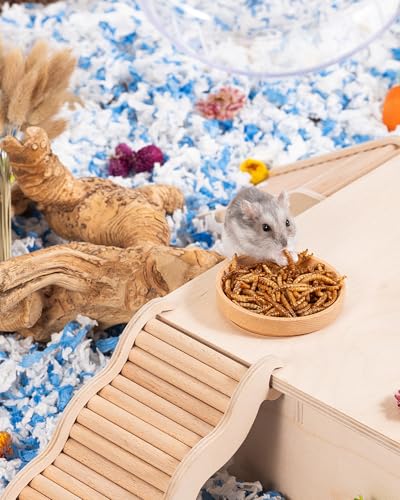 Small Animal Snack & Treats