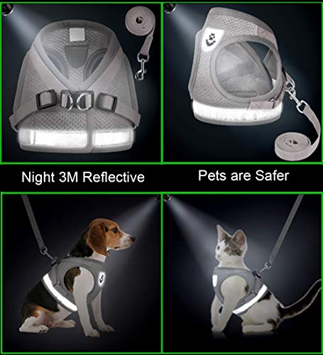 Cat Harness and Leash Set (S (Chest: 9" - 11") / Grey)