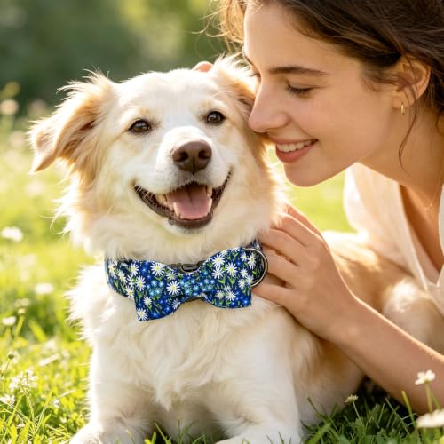 Blue Dog Collar (Daisy / Medium (Pack of 1))
