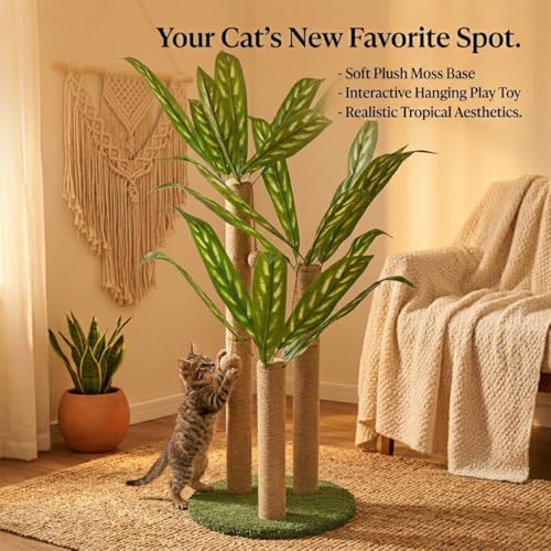 31.5Inch Cat Scratching Post