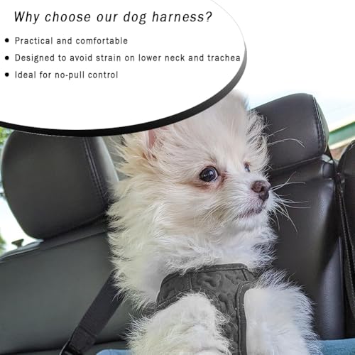 Comfort Fit Dog Harness Soft Padded No Pull Harness with Adjustable Buckles for Small Medium Large Dogs Step in Pet Vest with Easy Control Handle for Walking Jogging Running Training Dogs & Puppies (M (Chest 17"-18.5") / Black)