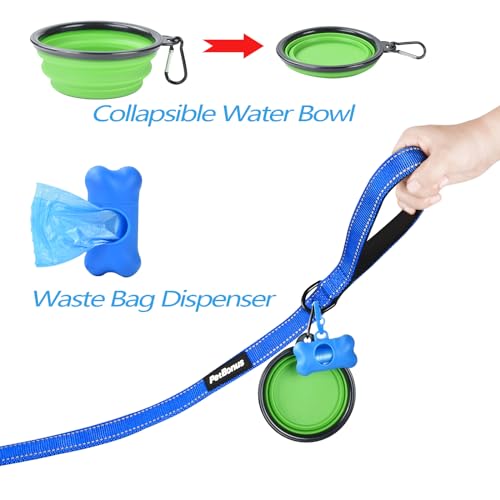 Double Dog Leash (Blue)