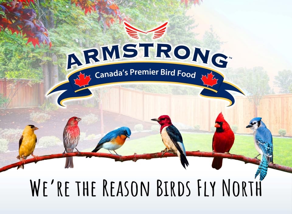 Armstrong Wild Bird Food Premium Blend (30.8 Pound (Pack of 1))