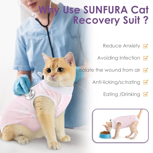 Cat Recovery Suit (Pink Rabbit / Medium)