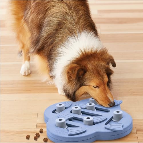 Nina Ottosson Dog Hide N' Slide Dog Toy Treat Puzzle
