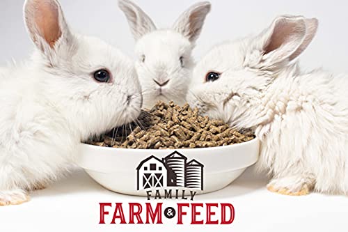 Timothy Grass Food