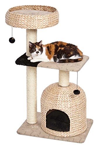 Cat Tree Nest Cat Furniture (Nest Woven Rattan/Script)