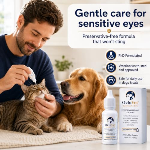 Pet Eye Drops for Dogs & Cats (1 Count (Pack of 1))