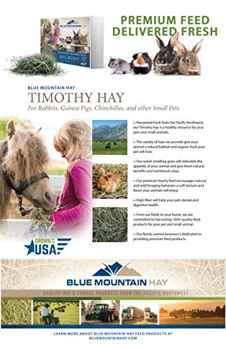 Timothy Hay Easy Flake Feed for Small Pets (5 Pound (Pack of 1))