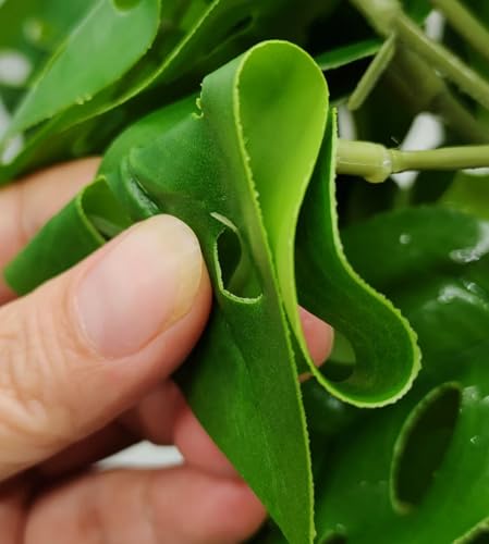 Fake Reptile Plants for Terrarium (Swiss Cheese)