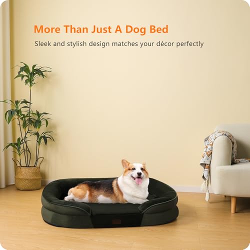 Orthopedic Waterproof Medium Dog Bed Sofa (Green / Medium(36 x 25.5 x 6 inch))