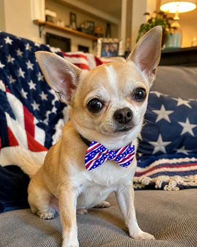 10 Pack Holiday Dog Bowties for Small Dogs Sliding on Collar (S/M)