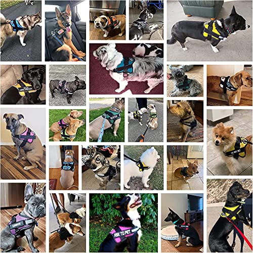 Dog Harness No (Small (Pack of 1) / RoseTurquoise)