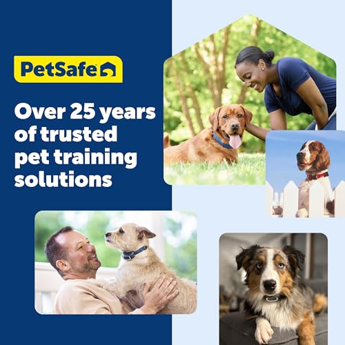 Pro Dog Trainer (2-Dog Trainer)