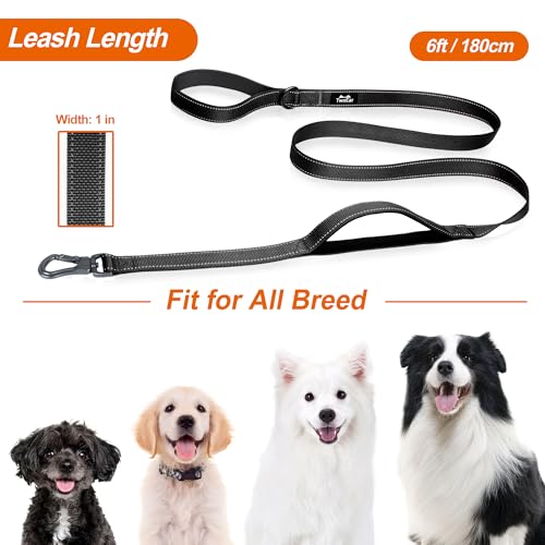 6FT 1IN Heavy Duty Dog Leash for Large Dogs with 2 Padded Handles (Black / 1 in x 6 ft)