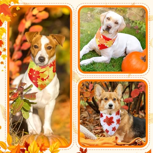 50 Pcs Fall Dog Bandanas Bulk (Maple Leaves / 31.5 x 21.7 x 21.7")