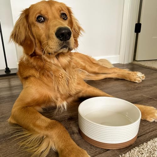 Ceramic Pet Bowl Size Medium (Medium / Vanilla White)