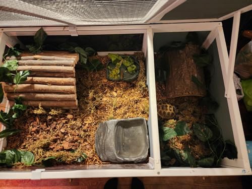 Tortoise Enclosure Indoor Wooden Tortoise Habitat