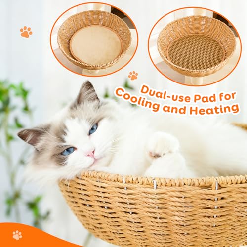 55.5 Inch Modern Cat Tree for Large Cats with Woven Rattan Beds (1)